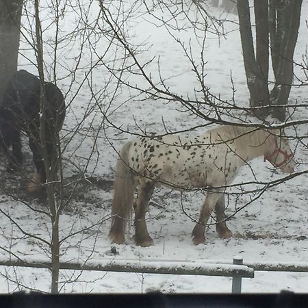 Penzion Na Slunicku Mariánská Екстериор снимка